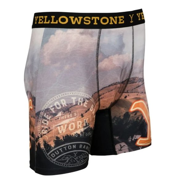 NWT Men's Yellowstone Boxer Briefs Size Medium Smokey Landscape Print with Logo - Picture 2 of 13